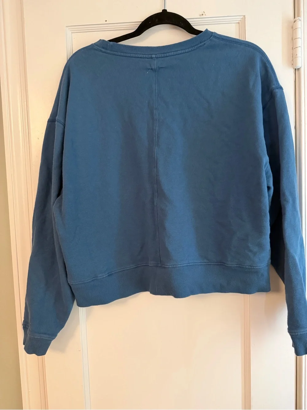 Maeve Blue Dog Graphic Sweatshirt - golden retriever